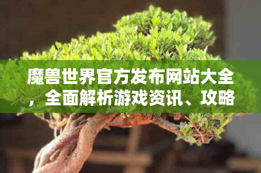 魔兽世界官方发布网站大全，全面解析游戏资讯、攻略与互动平台
