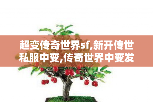 超变传奇世界sf,新开传世私服中变,传奇世界中变发布网,新开传世私服中变