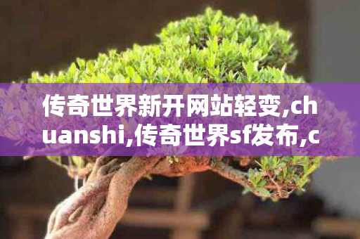 传奇世界新开网站轻变,chuanshi,传奇世界sf发布,chuanshi