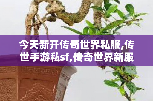 今天新开传奇世界私服,传世手游私sf,传奇世界新服网,传世手游私sf