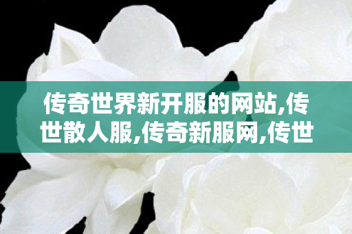 传奇世界新开服的网站,传世散人服,传奇新服网,传世散人服