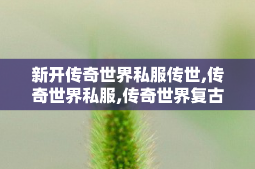 新开传奇世界私服传世,传奇世界私服,传奇世界复古版,传奇世界私服