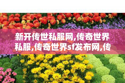 新开传世私服网,传奇世界私服,传奇世界sf发布网,传奇世界复古版本下载,传奇世界私服,传奇世界sf发布网