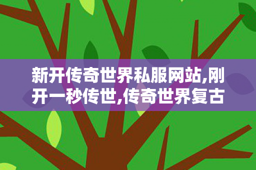 新开传奇世界私服网站,刚开一秒传世,传奇世界复古版本攻略,刚开一秒传世