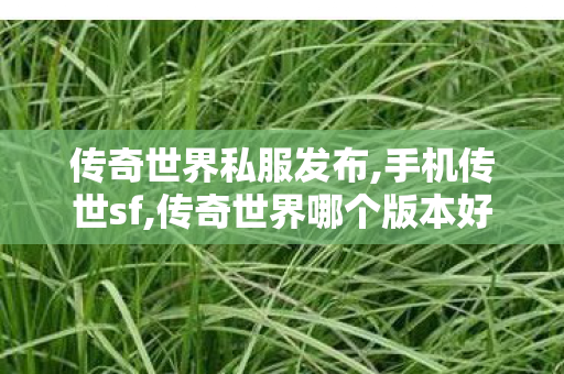 传奇世界私服发布,手机传世sf,传奇世界哪个版本好玩,手机传世sf