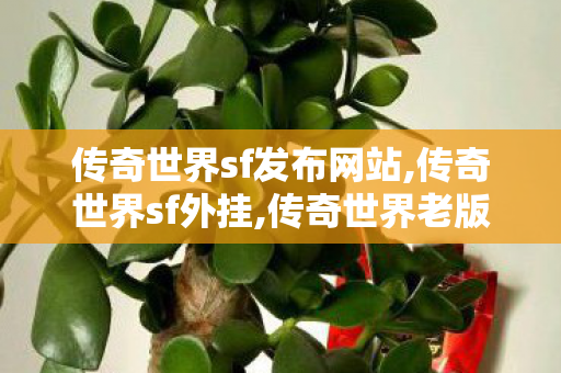 传奇世界sf发布网站,传奇世界sf外挂,传奇世界老版本客户端下载,传奇世界sf外挂