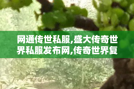 网通传世私服,盛大传奇世界私服发布网,传奇世界复古版本,盛大传奇世界私服发布网