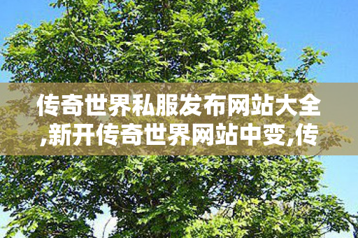 传奇世界私服发布网站大全,新开传奇世界网站中变,传奇世界sf网站发布网,新开传奇世界网站中变