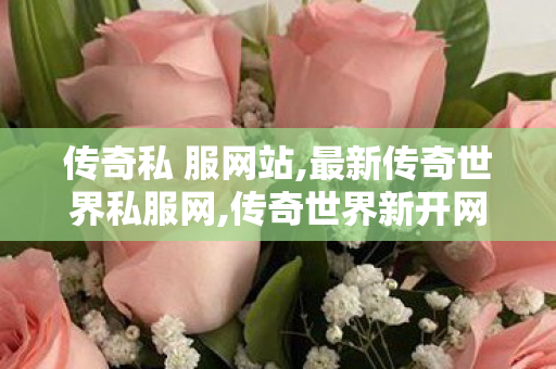传奇私 服网站,最新传奇世界私服网,传奇世界新开网站轻变,最新传奇世界私服网