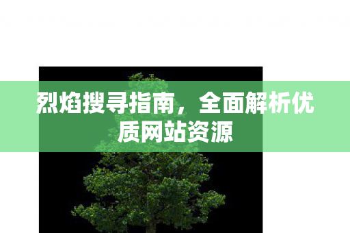 烈焰搜寻指南，全面解析优质网站资源
