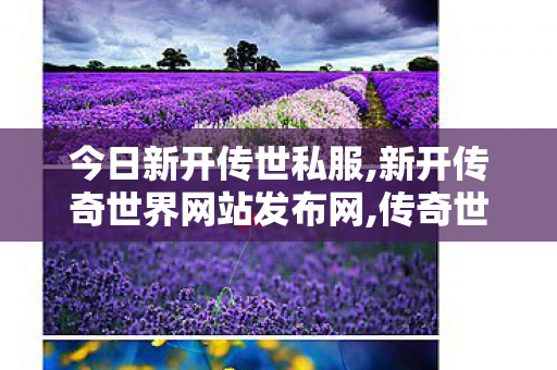 今日新开传世私服,新开传奇世界网站发布网,传奇世界中变sf发布,新开传奇世界网站发布网