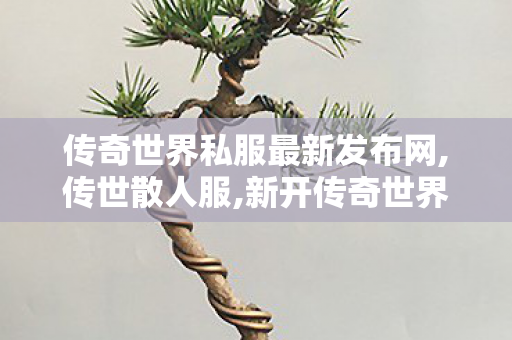 传奇世界私服最新发布网,传世散人服,新开传奇世界网站刚开一秒,传世散人服