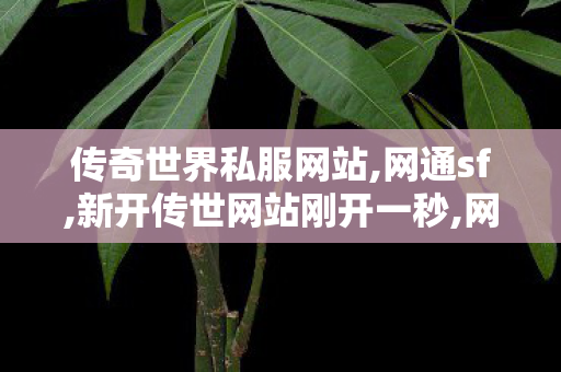 传奇世界私服网站,网通sf,新开传世网站刚开一秒,网通sf