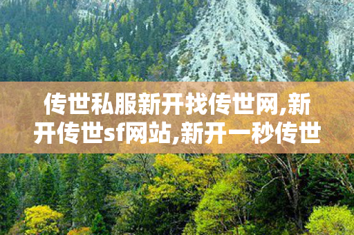传世私服新开找传世网,新开传世sf网站,新开一秒传世sf网站,新开传世sf网站