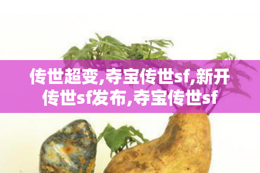 传世超变,夺宝传世sf,新开传世sf发布,夺宝传世sf