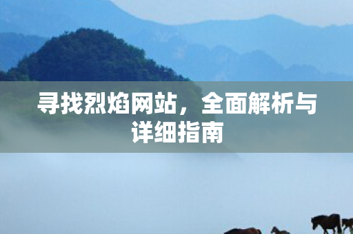 寻找烈焰网站，全面解析与详细指南
