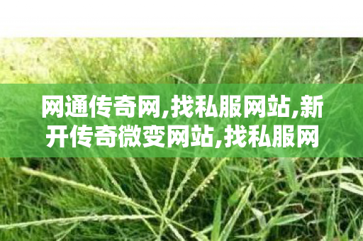 网通传奇网,找私服网站,新开传奇微变网站,找私服网站