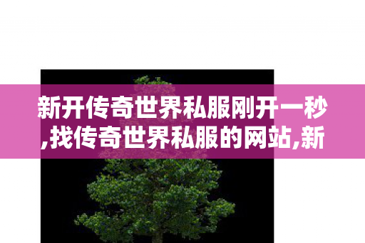新开传奇世界私服刚开一秒,找传奇世界私服的网站,新开中变sf网站,找传奇世界私服的网站