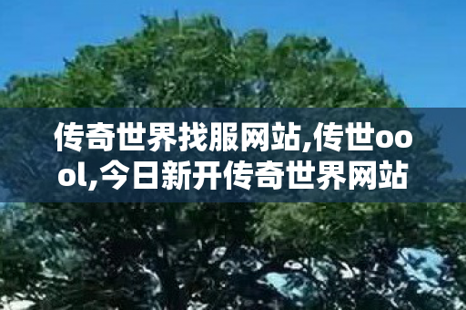 传奇世界找服网站,传世oool,今日新开传奇世界网站,传世oool
