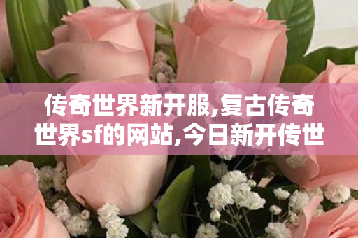 传奇世界新开服,复古传奇世界sf的网站,今日新开传世sf网,复古传奇世界sf的网站