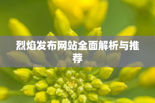 烈焰发布网站全面解析与推荐