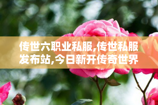 传世六职业私服,传世私服发布站,今日新开传奇世界私发服网,传世私服发布站