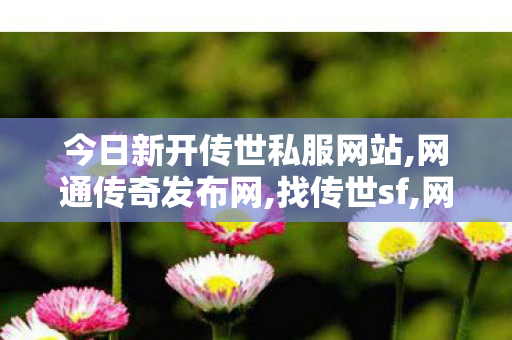 今日新开传世私服网站,网通传奇发布网,找传世sf,网通传奇发布网