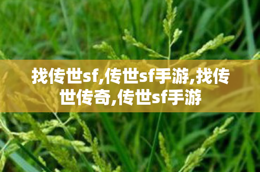 找传世sf,传世sf手游,找传世传奇,传世sf手游
