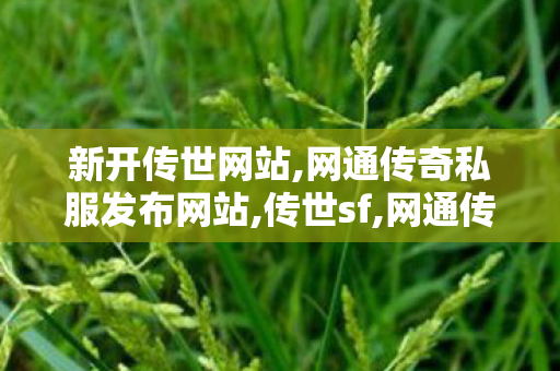 新开传世网站,网通传奇私服发布网站,传世sf,网通传奇私服发布网站