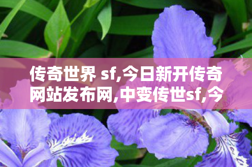 传奇世界 sf,今日新开传奇网站发布网,中变传世sf,今日新开传奇网站发布网