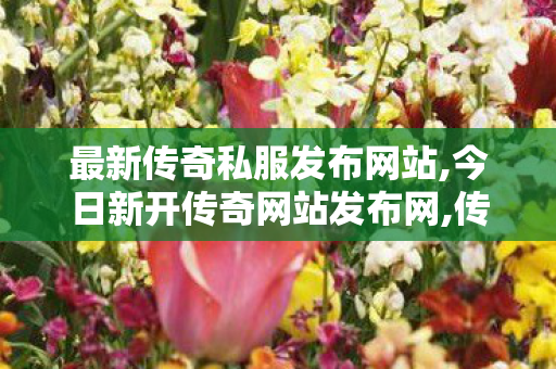 最新传奇私服发布网站,今日新开传奇网站发布网,传世sf技巧,今日新开传奇网站发布网