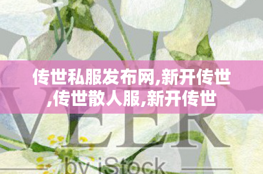 传世私服发布网,新开传世,传世散人服,新开传世