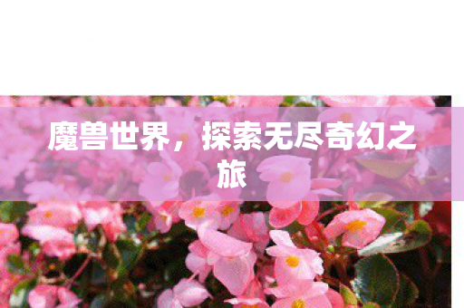 魔兽世界，探索无尽奇幻之旅