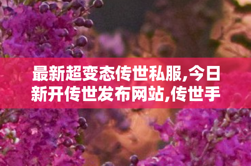 最新超变态传世私服,今日新开传世发布网站,传世手游私sf,今日新开传世发布网站