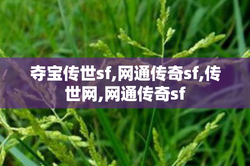 夺宝传世sf,网通传奇sf,传世网,网通传奇sf
