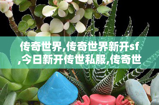 传奇世界,传奇世界新开sf,今日新开传世私服,传奇世界新开sf