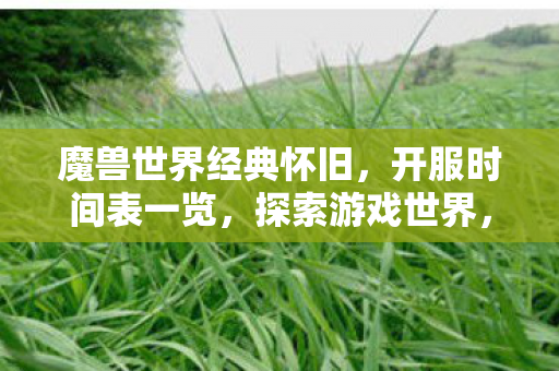 魔兽世界经典怀旧，开服时间表一览，探索游戏世界，重温经典传奇之旅