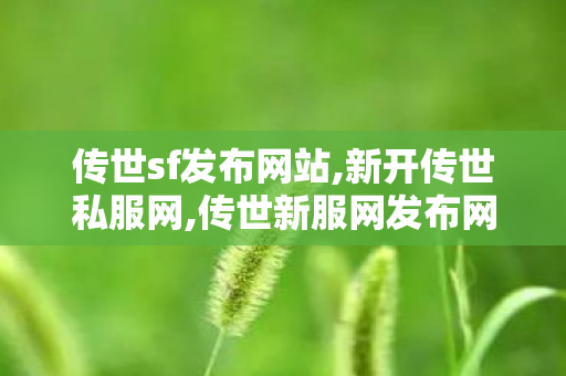 传世sf发布网站,新开传世私服网,传世新服网发布网,新开传世私服网
