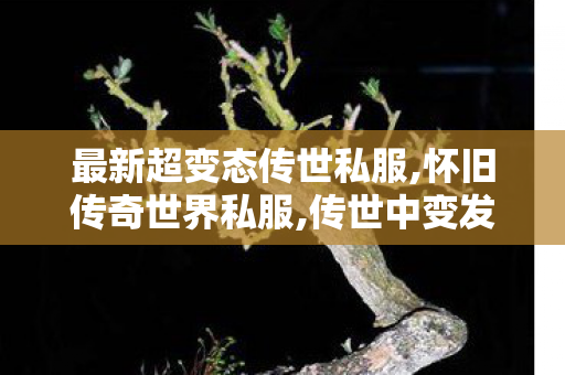 最新超变态传世私服,怀旧传奇世界私服,传世中变发布网,怀旧传奇世界私服