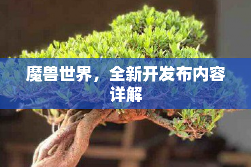 魔兽世界，全新开发布内容详解