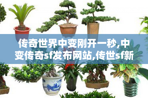 传奇世界中变刚开一秒,中变传奇sf发布网站,传世sf新开区,中变传奇sf发布网站