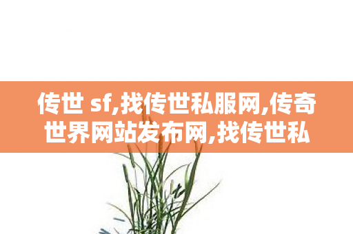 传世 sf,找传世私服网,传奇世界网站发布网,找传世私服网