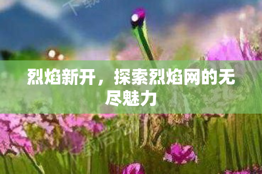 烈焰新开，探索烈焰网的无尽魅力
