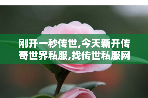 刚开一秒传世,今天新开传奇世界私服,找传世私服网站,今天新开传奇世界私服