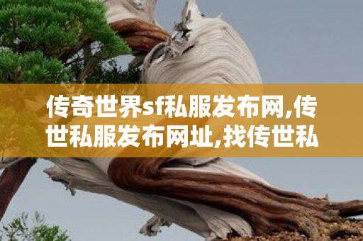 传奇世界sf私服发布网,传世私服发布网址,找传世私服网,传世私服发布网址