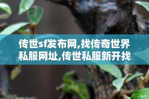 传世sf发布网,找传奇世界私服网址,传世私服新开找传世网,找传奇世界私服网址
