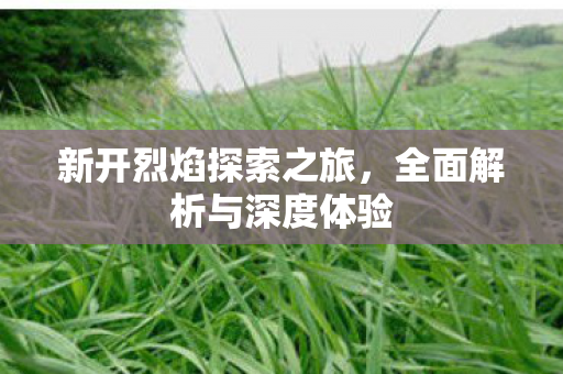 新开烈焰探索之旅，全面解析与深度体验