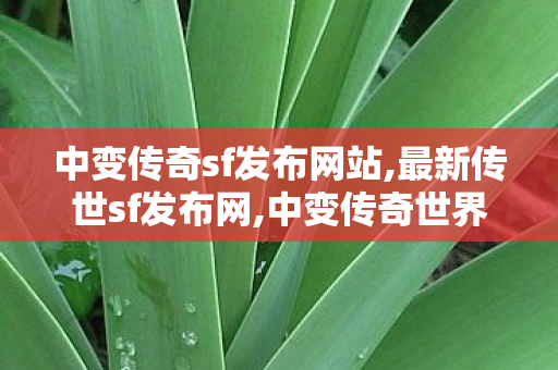 中变传奇sf发布网站,最新传世sf发布网,中变传奇世界私服,最新传世sf发布网
