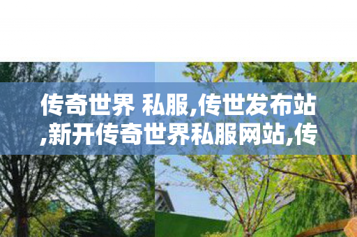 传奇世界 私服,传世发布站,新开传奇世界私服网站,传世发布站