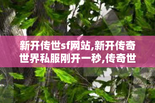 新开传世sf网站,新开传奇世界私服刚开一秒,传奇世界新开服,新开传奇世界私服刚开一秒